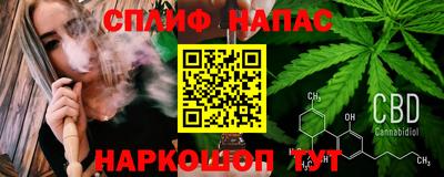 Альфа ПВП Будённовск