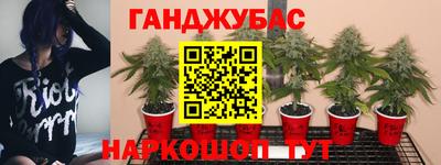 Альфа ПВП Будённовск